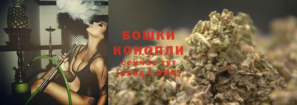 мдпв Волоколамск