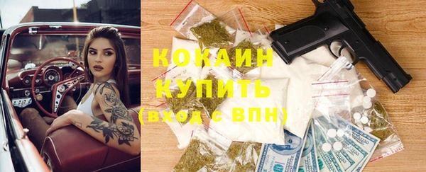 гидропоника Богданович