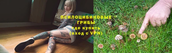 мдпв Волоколамск